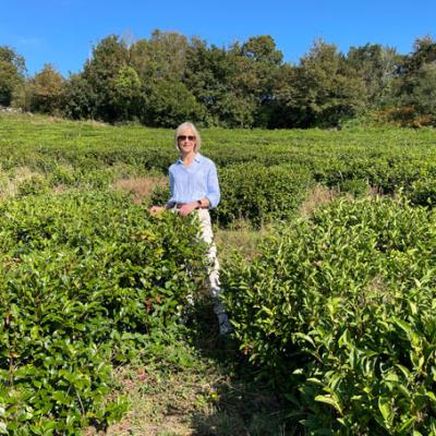 Mich Turner standing in a field of tea.